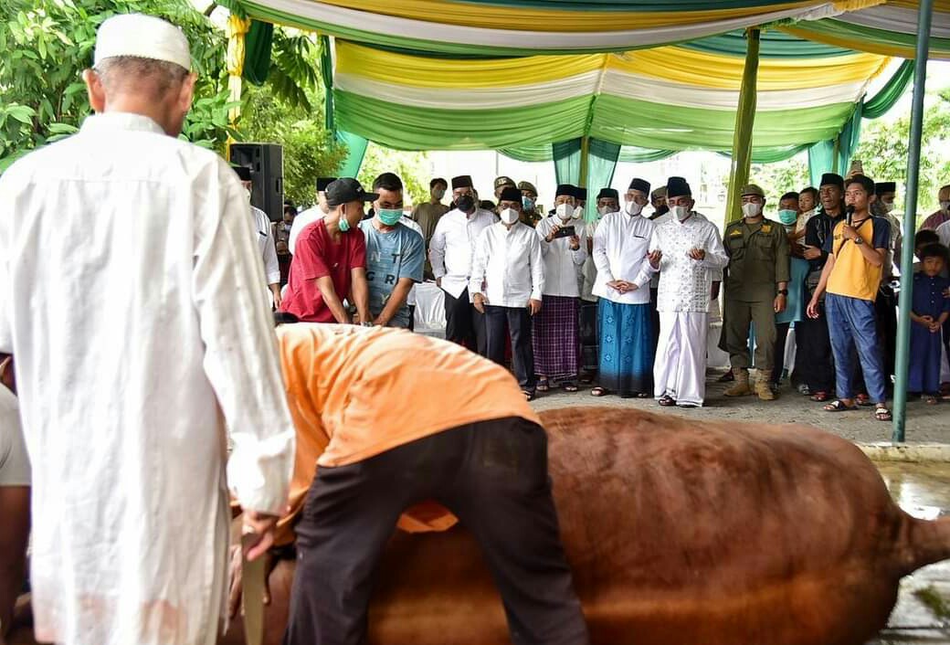 Gubernur Sumut Sembelih 9 Ekor Hewan Kurban, Salah Satunya Berbobot 1,3 Ton