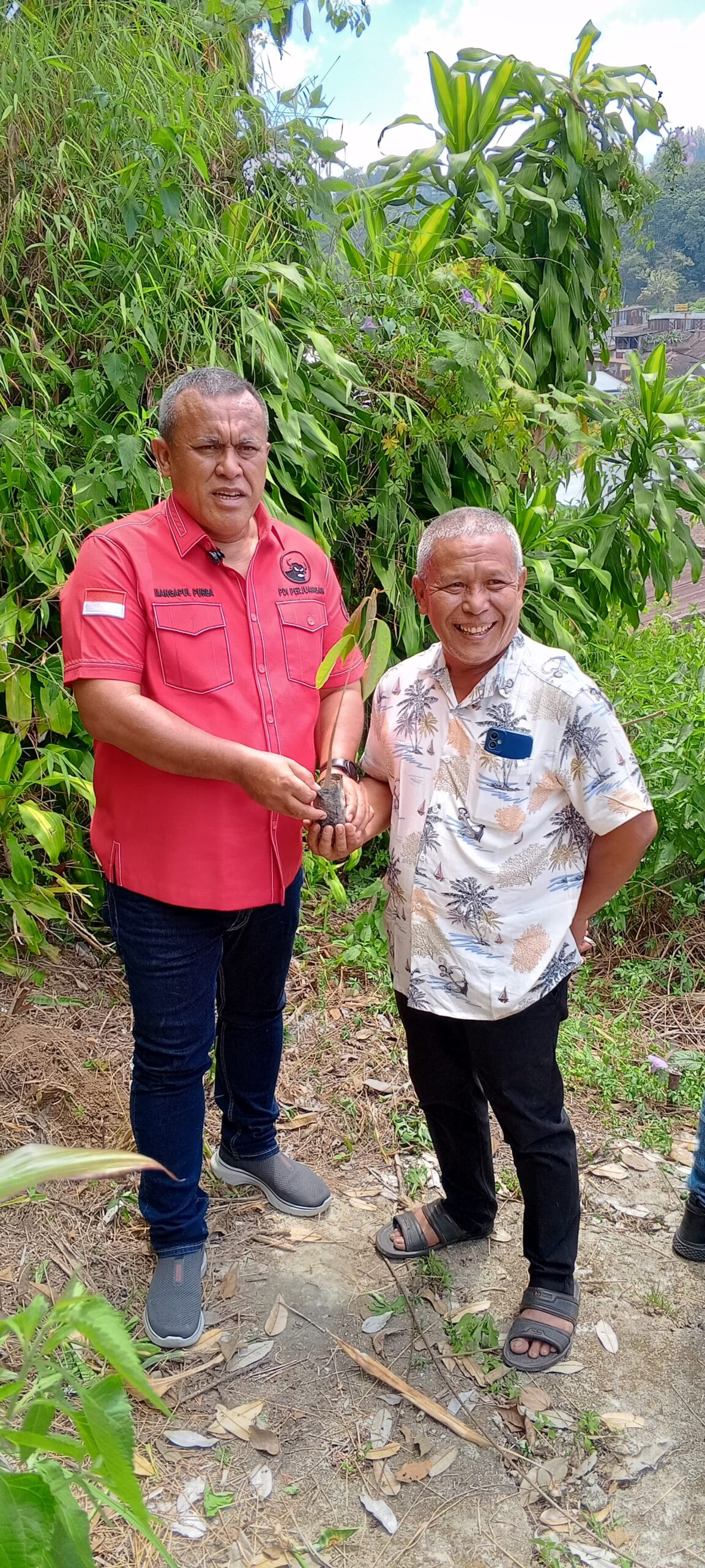 Mangapul Purba dan Maraden Sinaga Peringati HUT PDI Perjuangan dengan Penanaman Pohon di Parapat